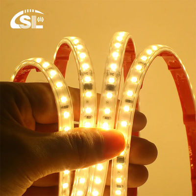 120 LEDs Flexible Tape Lamp with IC Home Lighting 110v/220V 2835 LED Strip Light Waterproof IP65