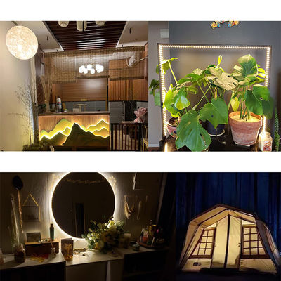 Indoor Decoration 3000K/4000K/6500K Flexible Electroplate SMD2835 LED Strip Light 5V 8mm 120LEDs