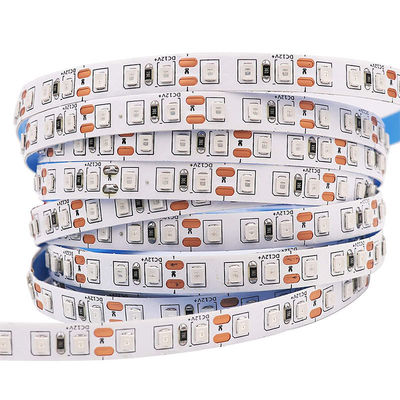 Long 12V 8mm 120leds Red Die-Cutting Board SMD2835 Led Strip Light for Commercial Lighting