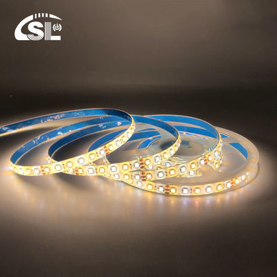 12mm 240leds 3000K-6500K CCT Dual Color SMD2835 LED Strip Light with 24V Input Voltage