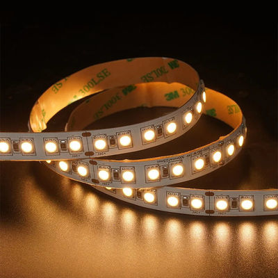 12V 24V Chasing Soft Outdoor Silicone Smart Light Smd Flexible Led Neon Strip Light 10M