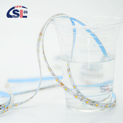 Light Strings with Color Rendering Index Ra 80 5M/R DC12V 8MM 120 Beads 10W/M 6500k