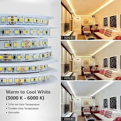 Adjustable Color Temperature LED Strip Light 120 LEDs/m Dual Color 8MM Not Waterproof