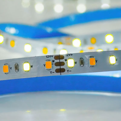 Customized CCT 12V24V 8mm 120leds 3000K-6500K Warm White-White SMD2835 Led Strip Light