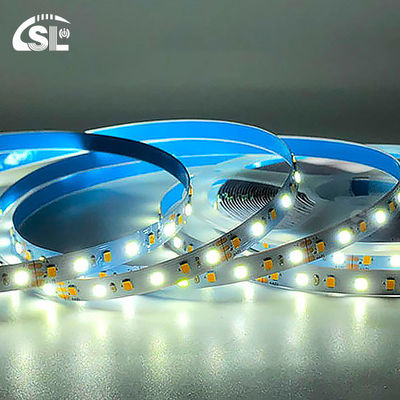 Double Colors LED Light Strips SMD 2835 120D 8mm 1200-1600LM 2700K-6500K 35Copper Ra70