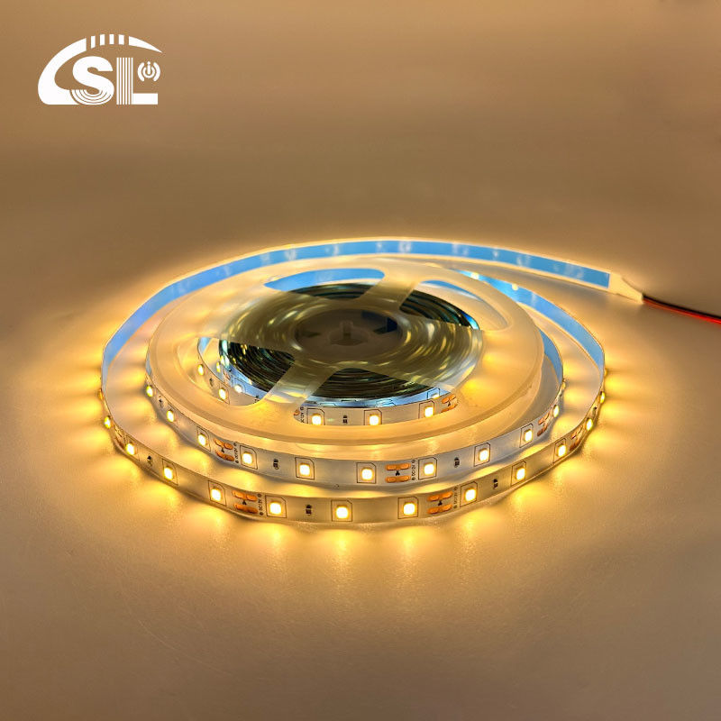 Flexible DC12V24V 8mm10mm 60leds 3000K Warm White Die-Board SMD2835 for Hotel Lighting