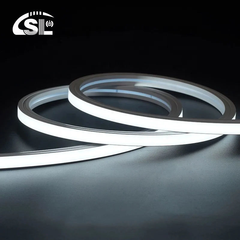 110V 127V 220V 260V Outdoor IP65 Waterproof 120leds/m SMD 2835 Led Strip Light OEM ODM