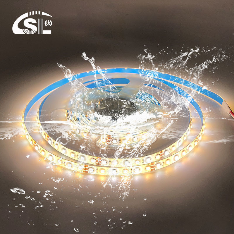 12mm 240leds 3000K-6500K CCT Dual Color SMD2835 LED Strip Light with 24V Input Voltage