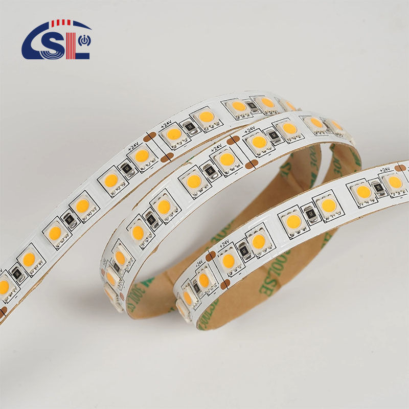 12V 24V Chasing Soft Outdoor Silicone Smart Light Smd Flexible Led Neon Strip Light 10M